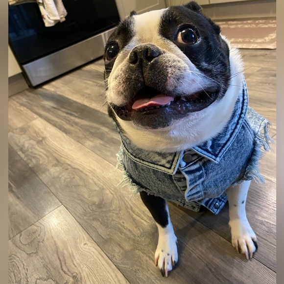 Meet your Posher, and her best friend! - Picture 5 of 6